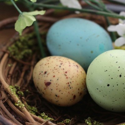 News aus dem Hotel bei Gitschberg Jochtal: Molaris Lodges News aus dem Hotel bei Gitschberg Jochtal: Molaris Lodges