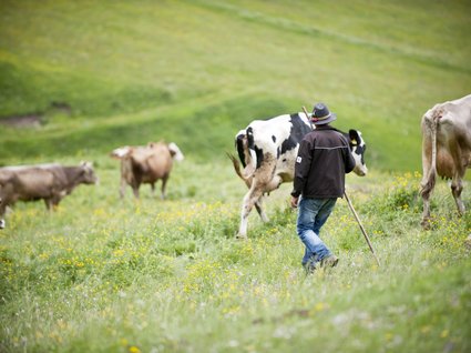 Südtiroler Küche mit Herz: Molaris Lodges Südtiroler Küche mit Herz: Molaris Lodges