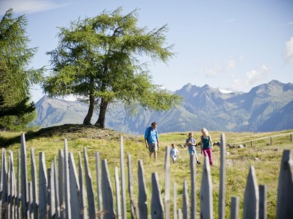 Summer holidays in Val Pusteria/Pustertal: Molaris Lodges Summer holidays in Val Pusteria/Pustertal: Molaris Lodges