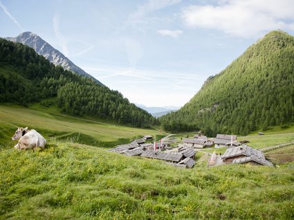 Summer holidays in Val Pusteria/Pustertal: Molaris Lodges Summer holidays in Val Pusteria/Pustertal: Molaris Lodges