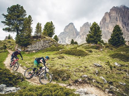 Summer holidays in Val Pusteria/Pustertal: Molaris Lodges Summer holidays in Val Pusteria/Pustertal: Molaris Lodges