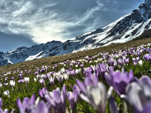 Ihr Bikerhotel in Südtirol: Molaris Lodges Ihr Bikerhotel in Südtirol: Molaris Lodges