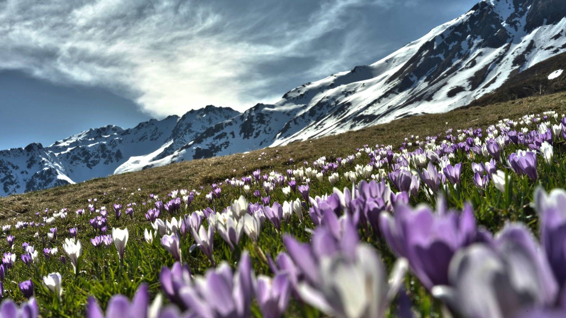 Ihre Vorteile mit der Almencard+ Gitschberg Jochtal Ihre Vorteile mit der Almencard+ Gitschberg Jochtal