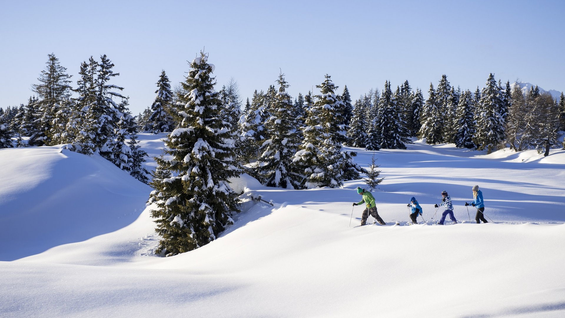 Winter and skiing holiday in Val Pusteria/Pustertal: Molaris Lodges Winter and skiing holiday in Val Pusteria/Pustertal: Molaris Lodges