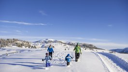 Winter and skiing holiday in Val Pusteria/Pustertal: Molaris Lodges Winter and skiing holiday in Val Pusteria/Pustertal: Molaris Lodges
