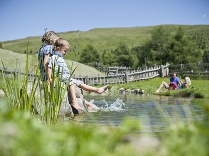 Summer holidays in Val Pusteria/Pustertal: Molaris Lodges Summer holidays in Val Pusteria/Pustertal: Molaris Lodges