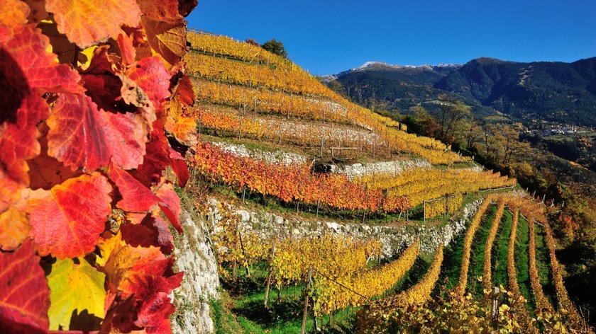 Entdeckungsreise durch Südtirol Entdeckungsreise durch Südtirol