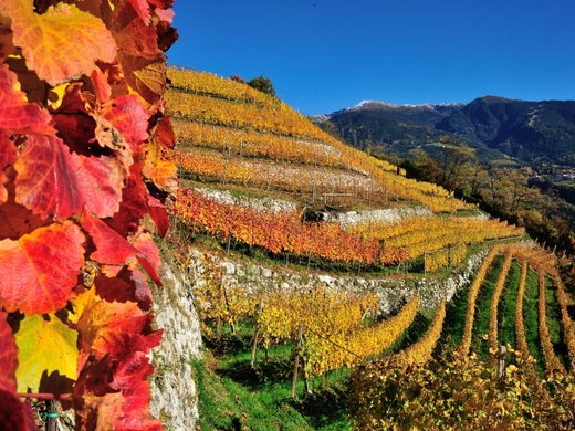 Ihr Bikerhotel in Südtirol: Molaris Lodges Ihr Bikerhotel in Südtirol: Molaris Lodges