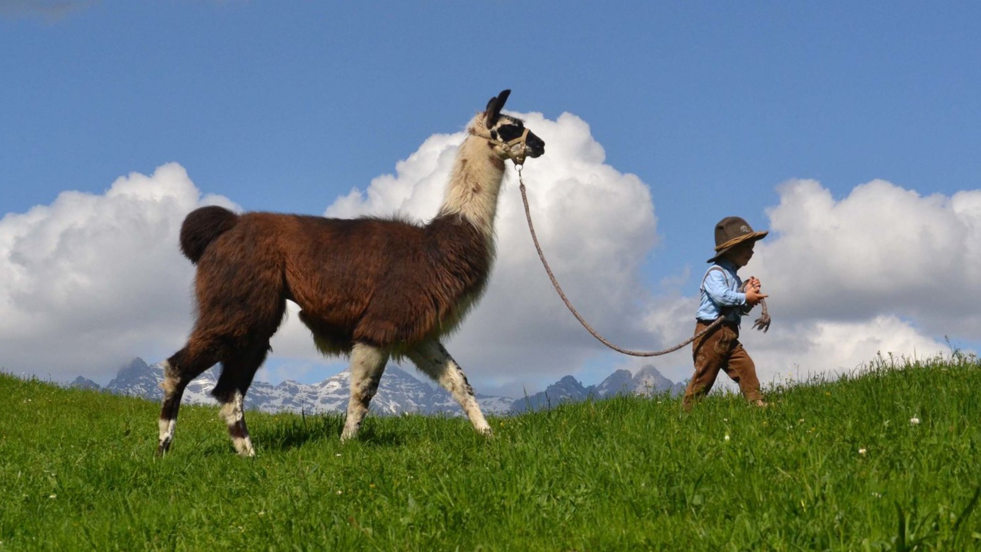 La posizione panoramica dei nostri Molaris Lodges La posizione panoramica dei nostri Molaris Lodges