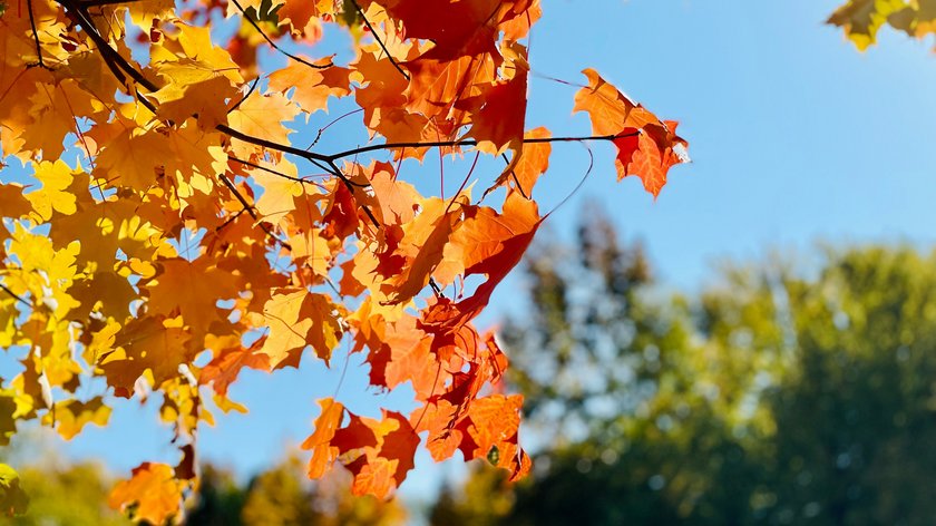 Escursioni autunnali intorno a Rio di Pusteria Escursioni autunnali intorno a Rio di Pusteria