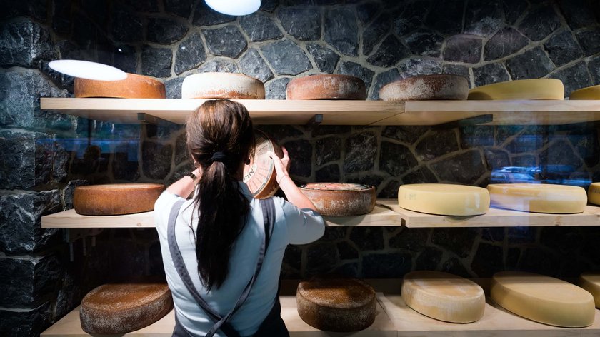 Museo del formaggio Museo del formaggio