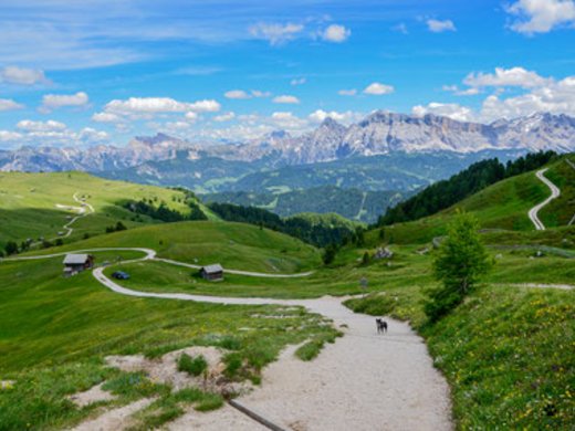 Auf der richtigen Spur - Tourentipps Auf der richtigen Spur - Tourentipps