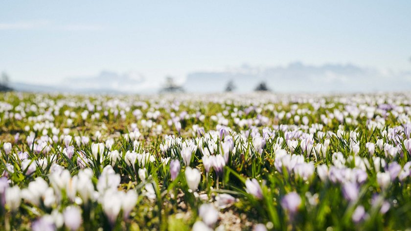 Vacanza primaverile in Alto Adige Vacanza primaverile in Alto Adige