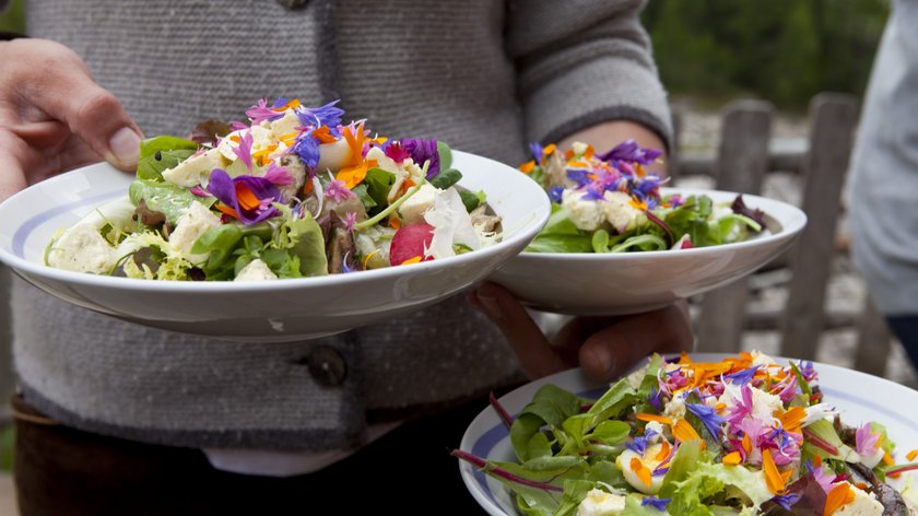 Sommerküche: Kräuter und Gartengemüse Sommerküche: Kräuter und Gartengemüse